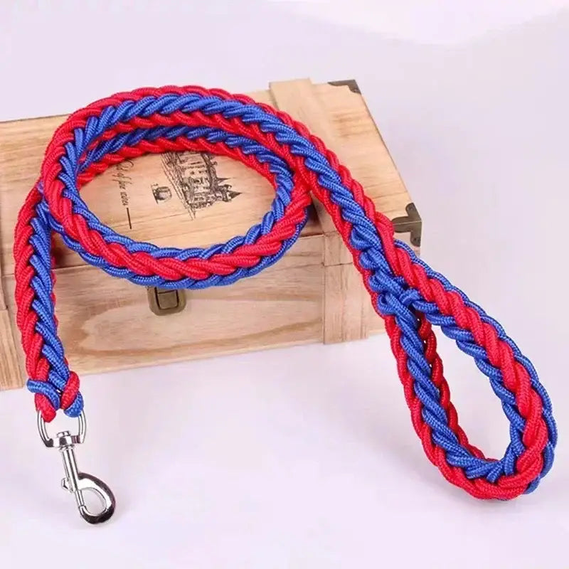 Braided red and blue dog leash with a metal clip.