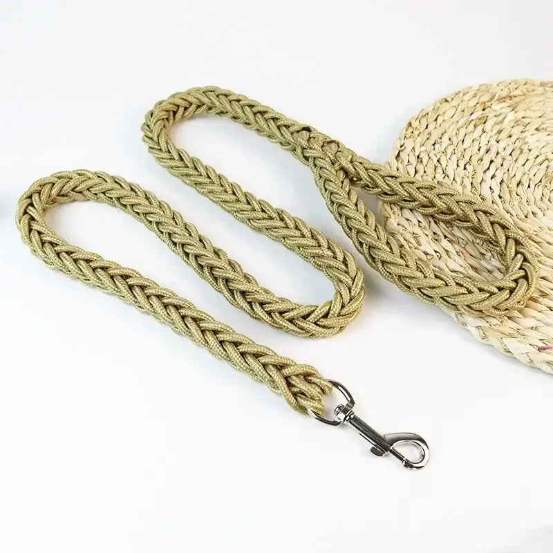 Braided rope dog leash with a metal clip attachment.