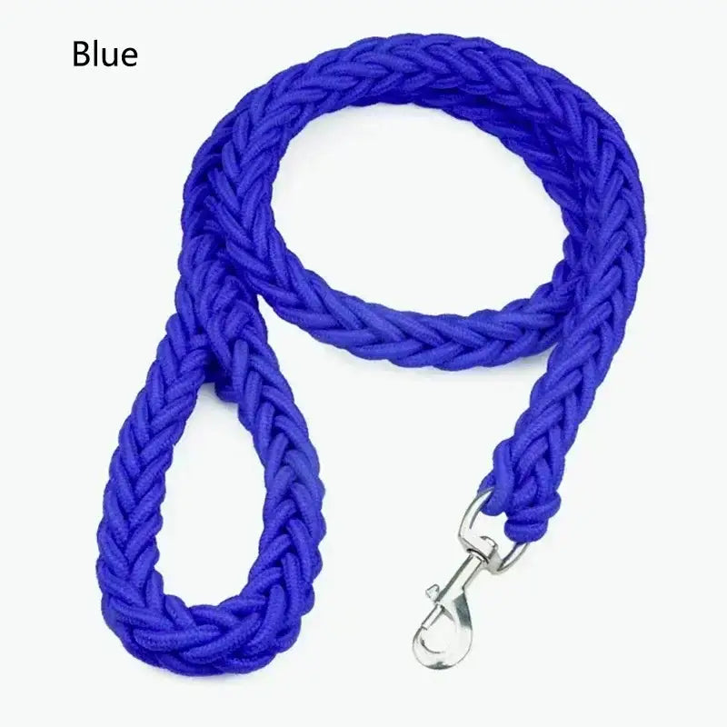 Bright blue braided dog leash with a metal clip.