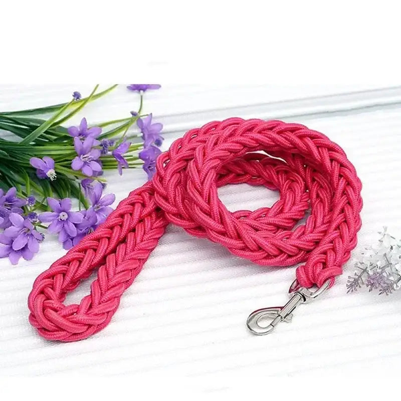 Bright pink braided dog leash with a metal clip.