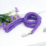 Braided Dog Leashes - Vignette | DoggyElite