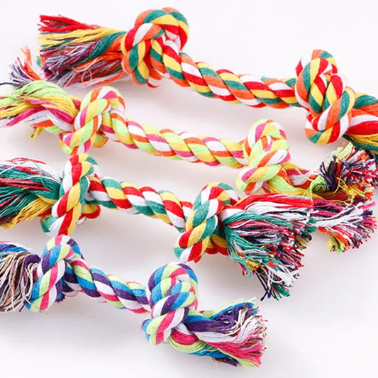 Colorful braided rope dog toys with knotted ends and frayed tassels.