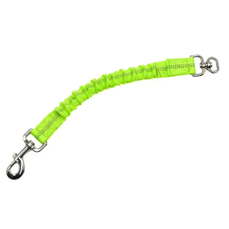 Bright green elastic dog leash with metal clasps at both ends.