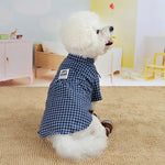 Button Down Shirts For Dogs - Vignette | DoggyElite