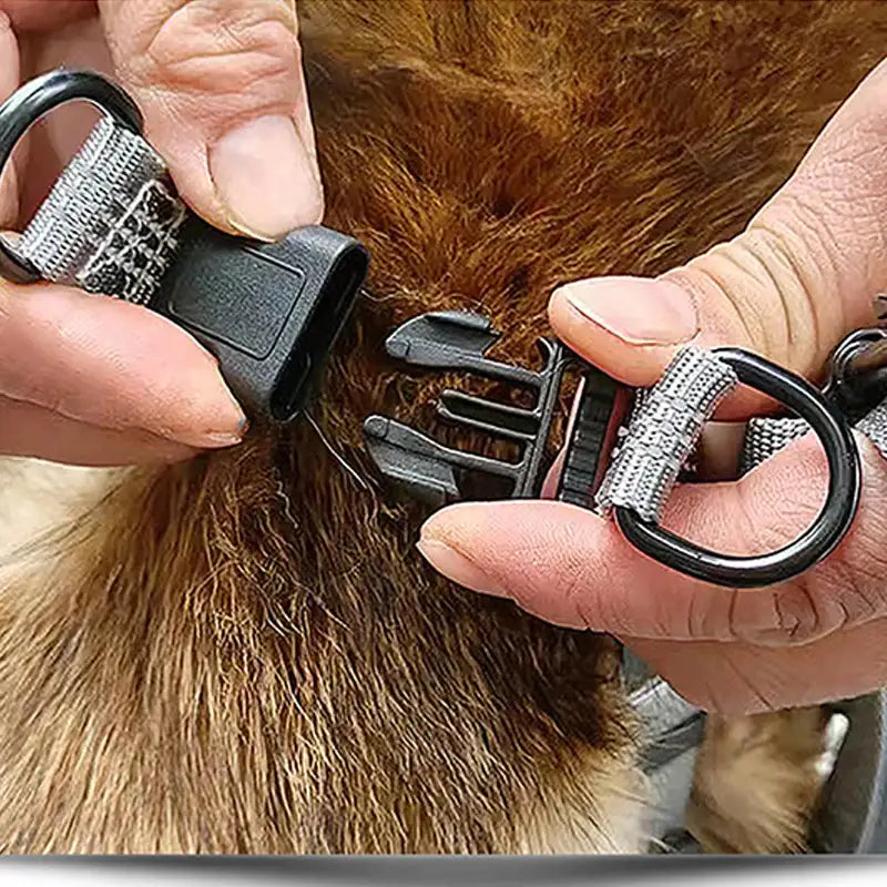 Dog grooming clippers being used on a furry animal.