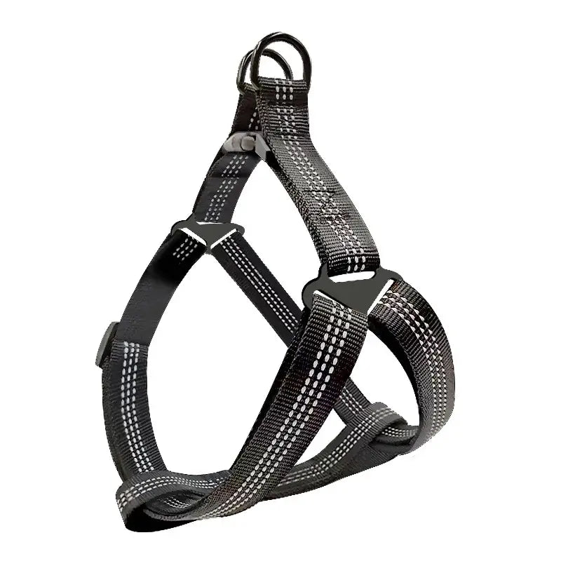 Dog harness with reflective stitching.