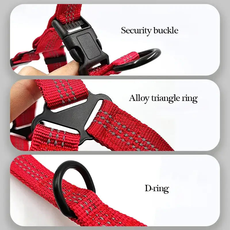 Red dog harness with labeled components including a security buckle, alloy triangle ring, and D-ring.