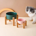 Ceramic Planters on Wooden Stands - Vignette | DoggyElite