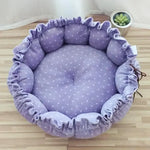 Cheap Pet Beds For Dogs - Vignette | DoggyElite