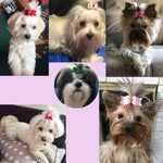 Christmas Hair Bows For Dogs - Vignette | DoggyElite