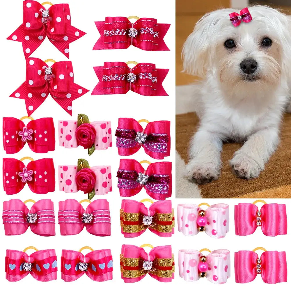 Collection of pink and red decorative hair bows for dogs alongside a white fluffy dog wearing a small bow.