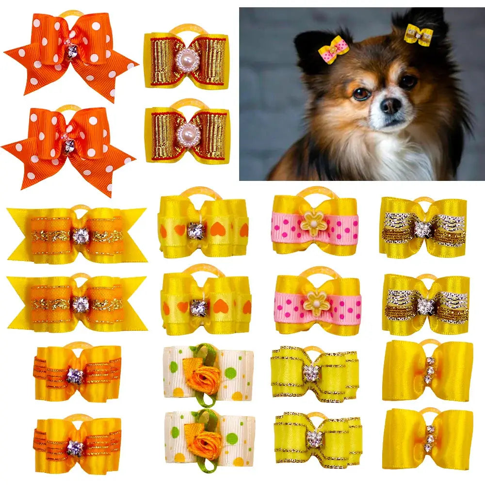 Long-haired Chihuahua or Papillon dog wearing small decorative bows in its fur.