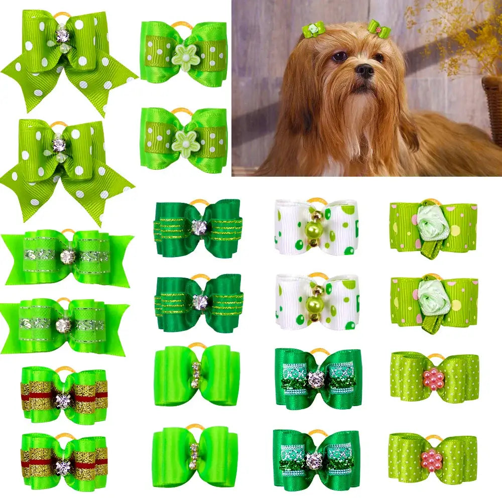 Long-haired Yorkshire Terrier dog with a green bow on its head.