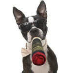 Cigar Dog Toy - Vignette | DoggyElite