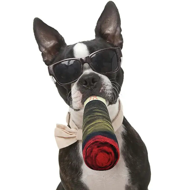 Boston Terrier wearing sunglasses and holding a rose in its mouth.