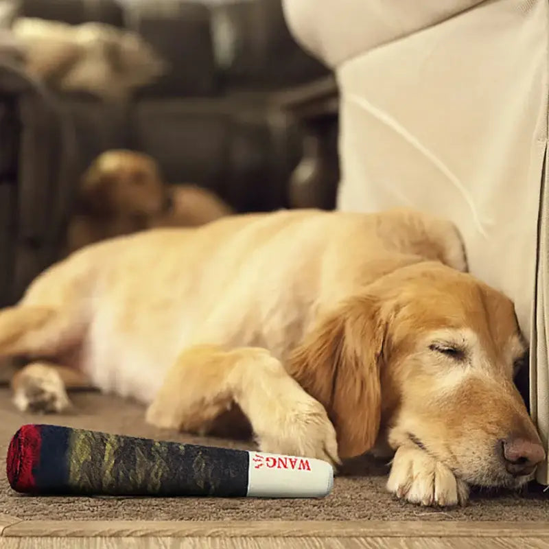 Golden Retriever dog lying down next to a wine bottle.