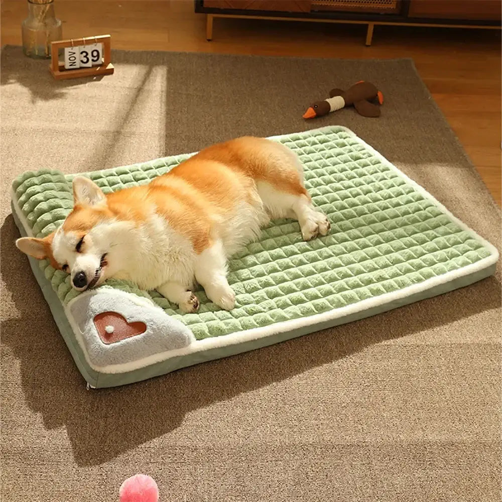 Corgi dog sleeping on a green textured cooling mat.