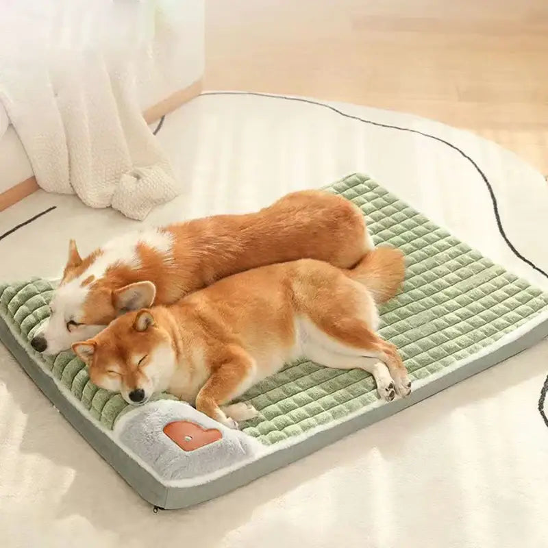 Heated pet mat with two sleeping Shiba Inu dogs.