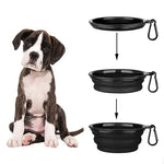 Collapsible Silicone Pet Bowl with Carabiner - Vignette | DoggyElite