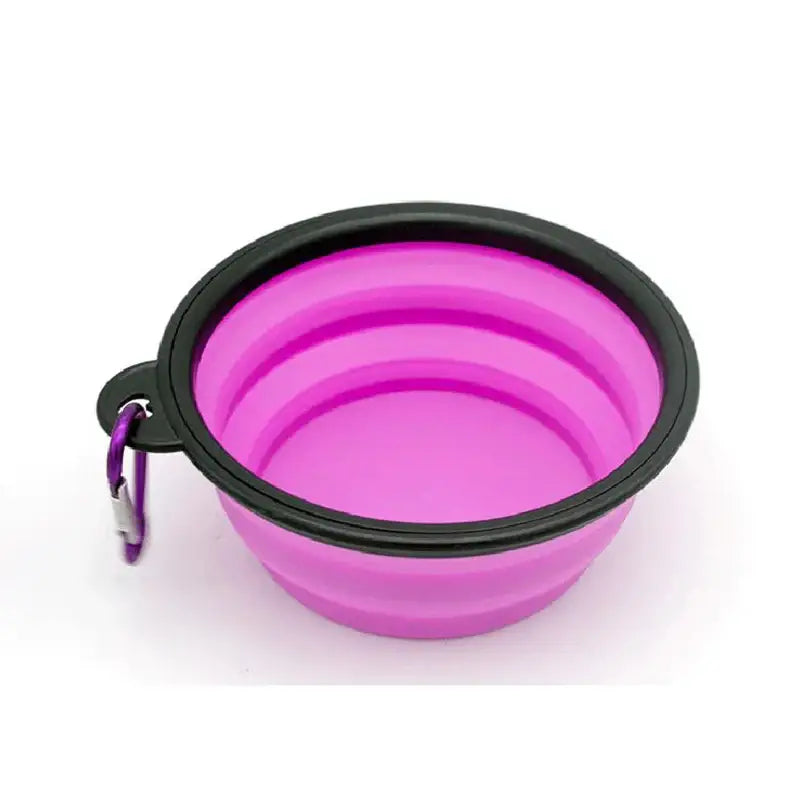 Collapsible pink silicone pet bowl with a black rim and attached carabiner.