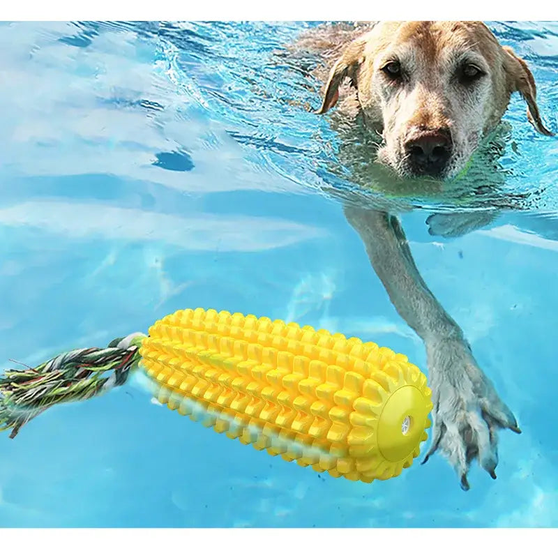 Dog swimming in water with a yellow corn-shaped toy.