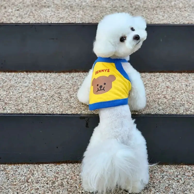 Fluffy white dog wearing a yellow and blue ’Bunny’s’ vest.