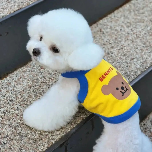 Fluffy white dog wearing a yellow and blue shirt with a bear design.