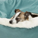 Covered Dog Beds For Medium Dogs - Vignette | DoggyElite