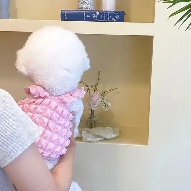 Fluffy white dog wearing a pink checkered bandana.