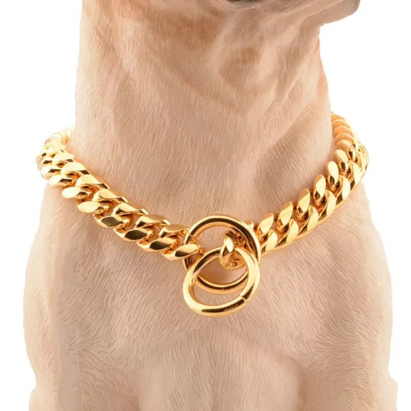 Gold chain collar with interlocking rings as a pendant.