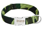 Cute Dog Collars For Males - Vignette | DoggyElite