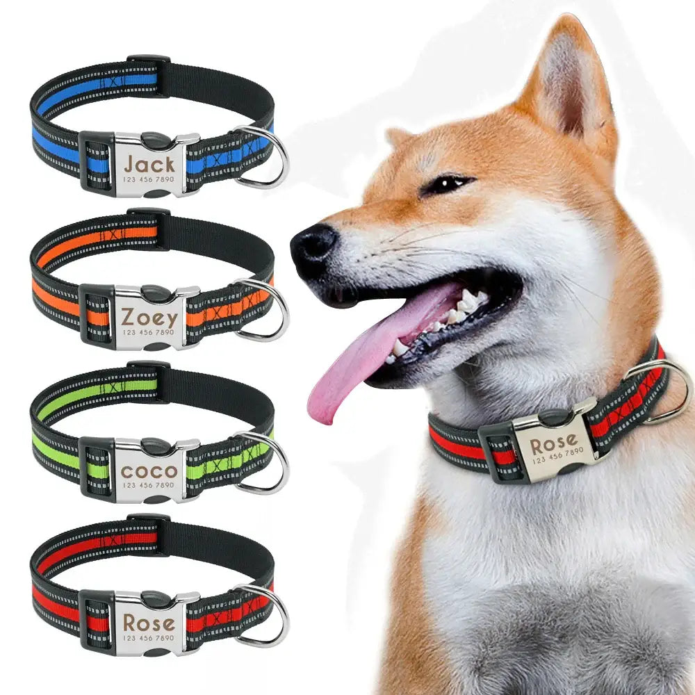 Shiba Inu dog wearing a personalized collar, with examples of other colorful dog collars shown alongside.