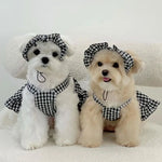 Cute Dog Dresses - Vignette | DoggyElite