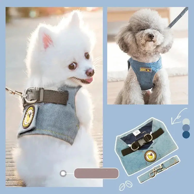 Dog vest or harness with a badge or patch attached.