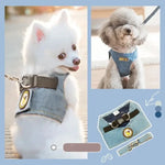 Cute Dog Harness Girl - Vignette | DoggyElite