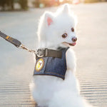 Cute Dog Harness Girl - Vignette | DoggyElite