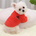 Cute Small Dog Sweaters - Vignette | DoggyElite