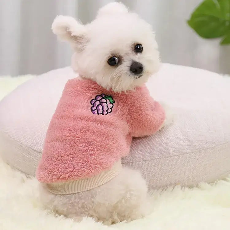 Fluffy white dog wearing a pink sweater with a floral embellishment.