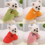 Cute Small Dog Sweaters - Vignette | DoggyElite