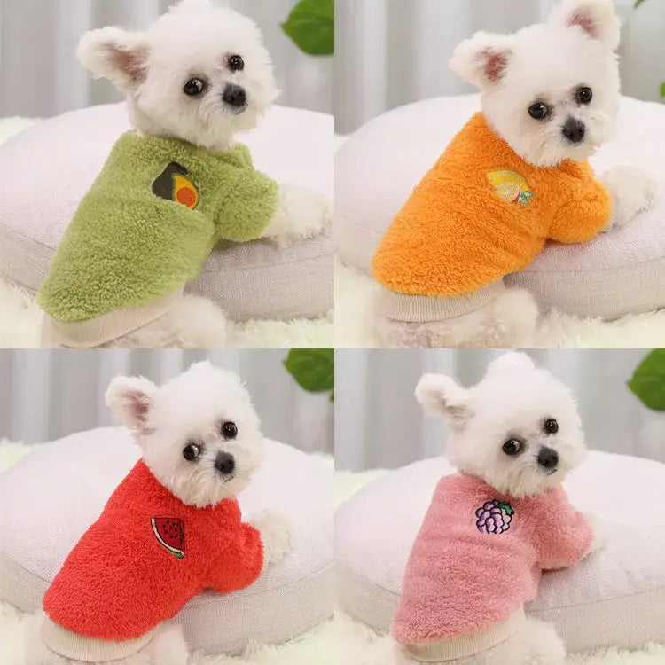 Fluffy white puppy wearing colorful sweaters with fruit designs.