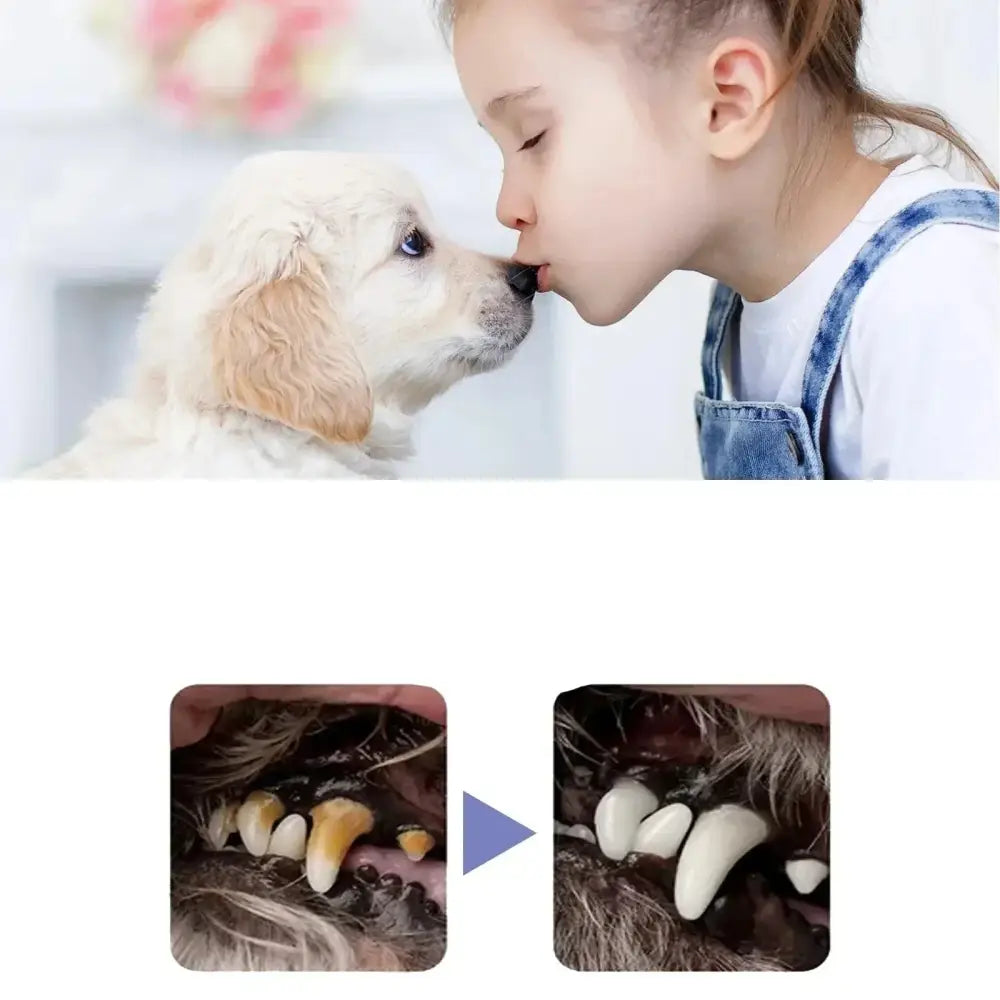 A child gently kissing a fluffy white puppy.