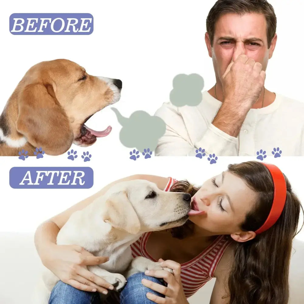 Before and after comparison showing a dog’s effect on a person’s mood.