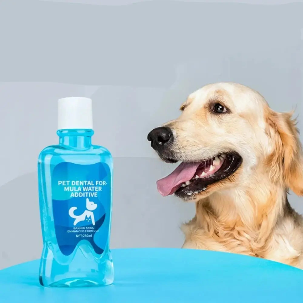 Blue plastic bottle of pet dental water additive next to a golden retriever dog.