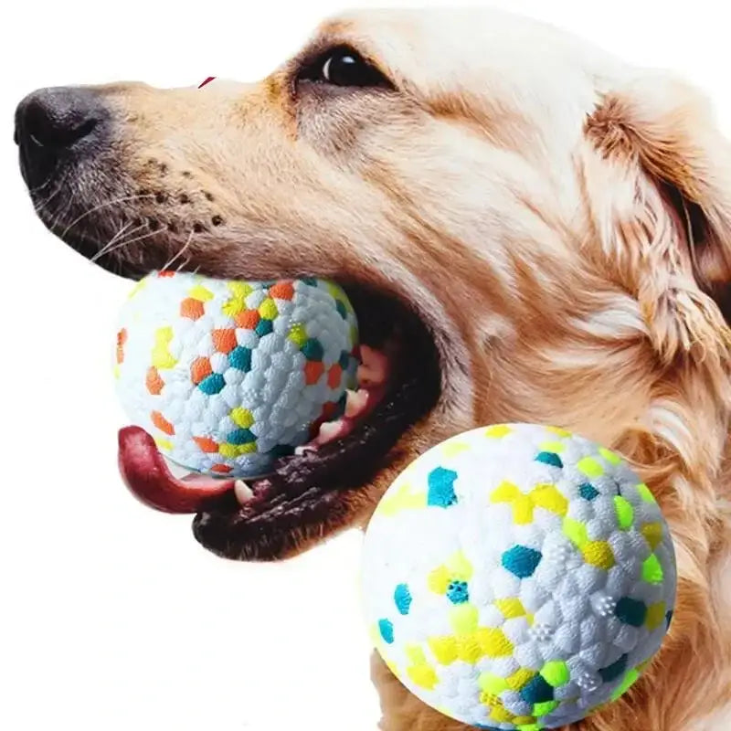 Golden retriever dog with a colorful spotted ball in its mouth.