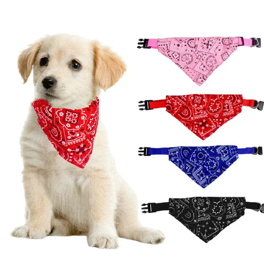 Adorable puppy wearing a red bandana alongside additional colorful bandanas.