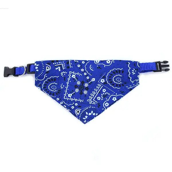 Blue bandana-style dog collar with white paisley pattern.