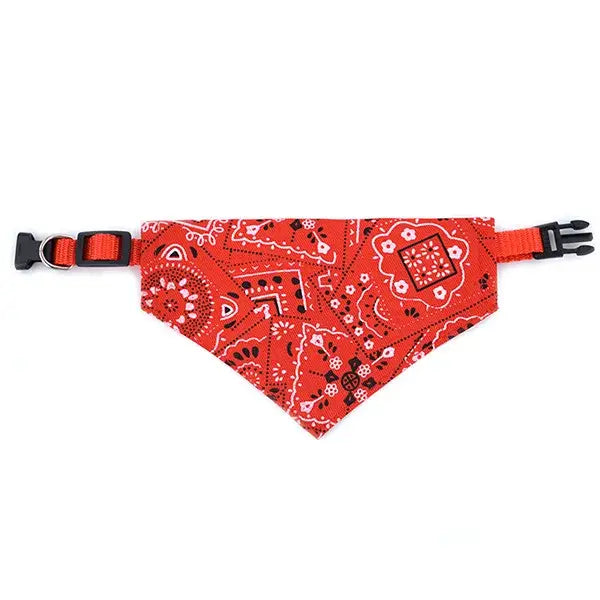 Red bandana-style dog collar with a paisley pattern.