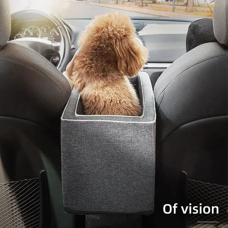 Fluffy poodle sitting in a car booster seat.