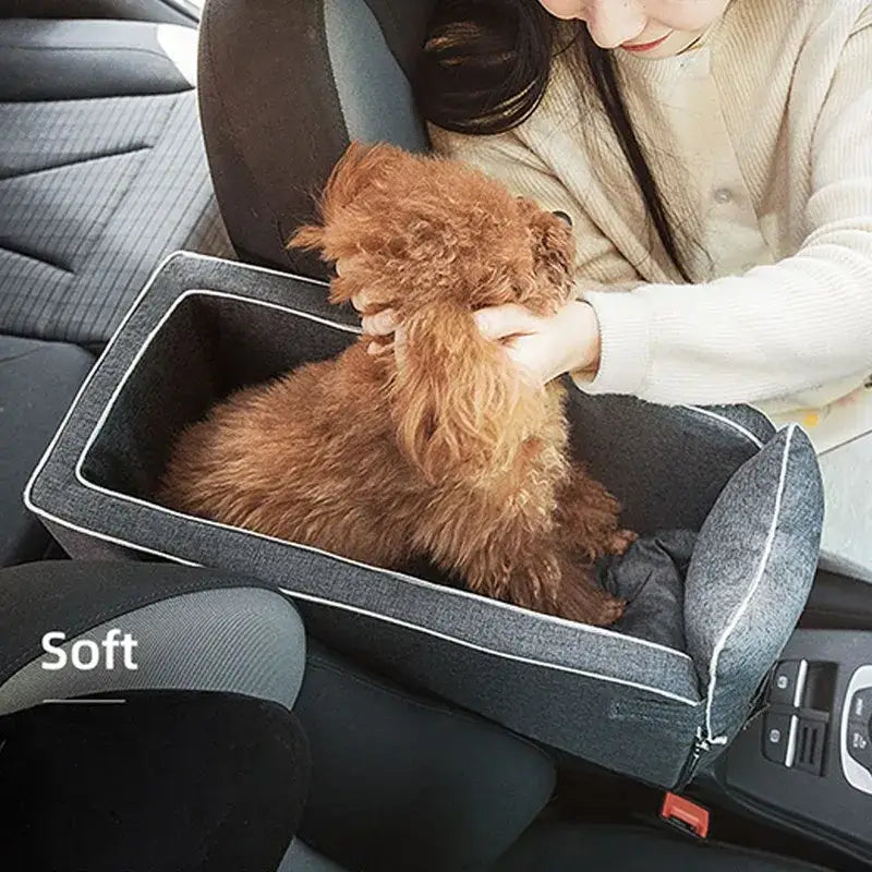 Fluffy reddish-brown dog sitting in a car seat carrier.