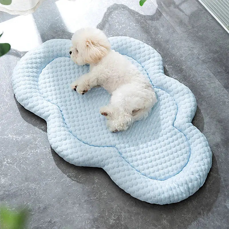 Cloud-shaped light blue pet bed with a small white dog sleeping on it.